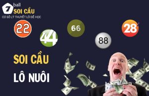 Soi cầu lô nuôi chính xác nhất